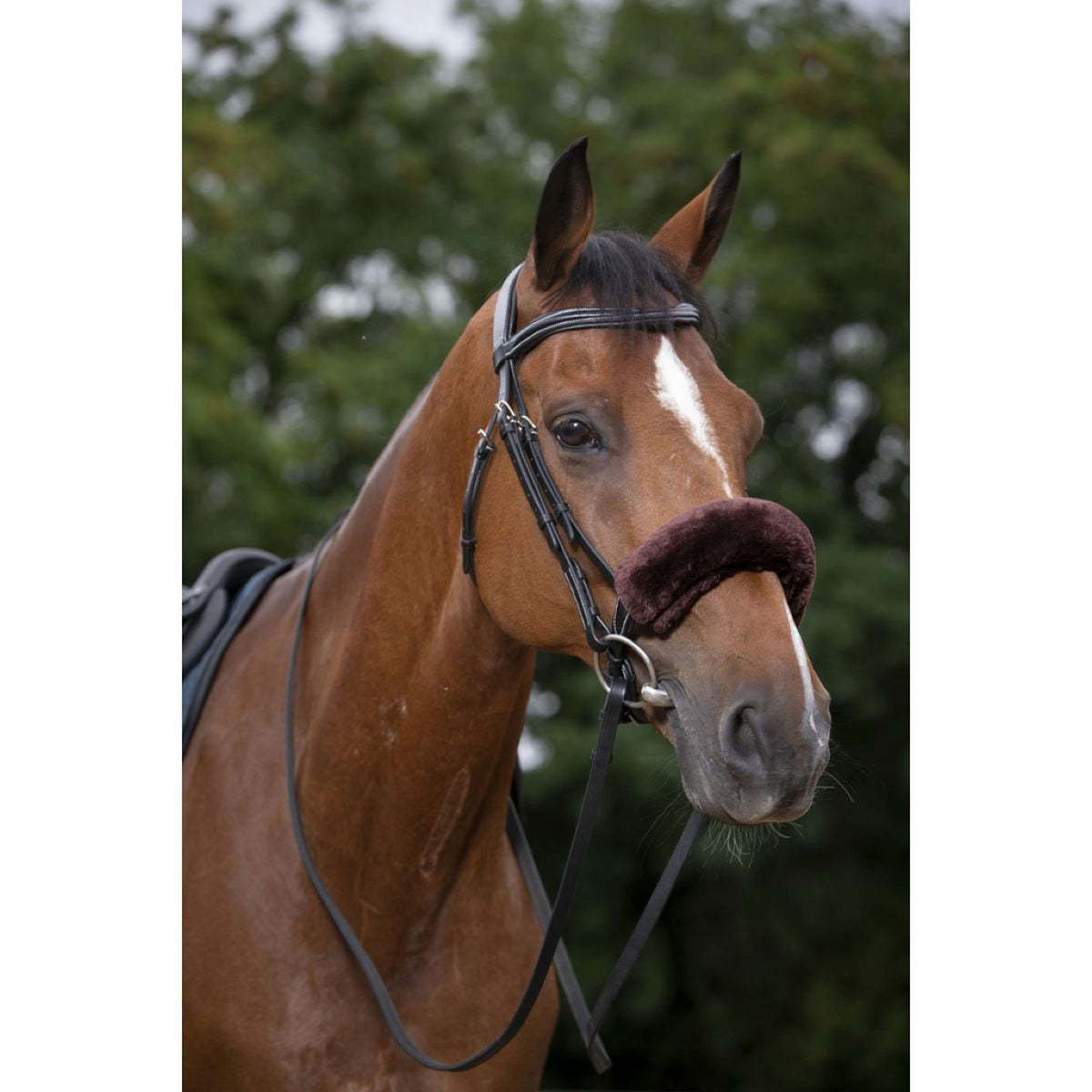 EQUITHÈME Fodera per Nasello Teddy Marrone