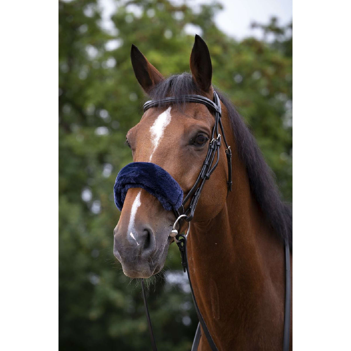 EQUITHÈME Fodera per Nasello Teddy Navy