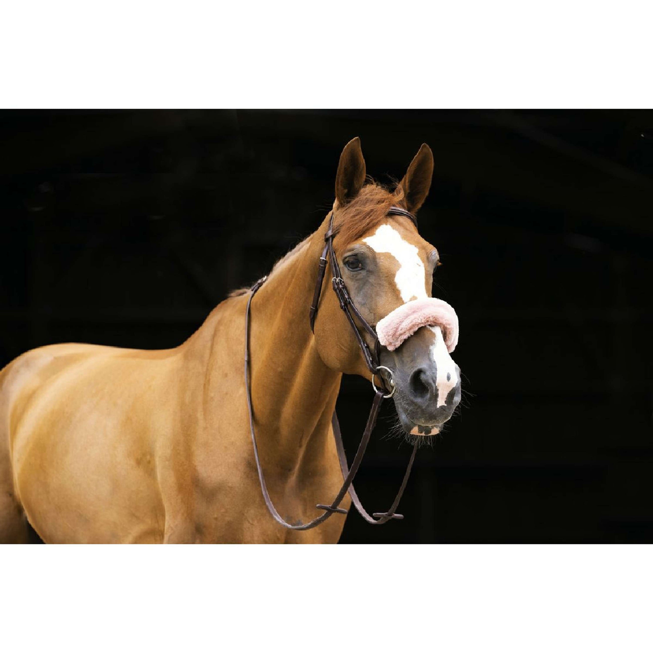 EQUITHÈME Fodera per Nasello Teddy Oro rosa EQUITHÈME Fodera per Nasello Teddy Oro rosa