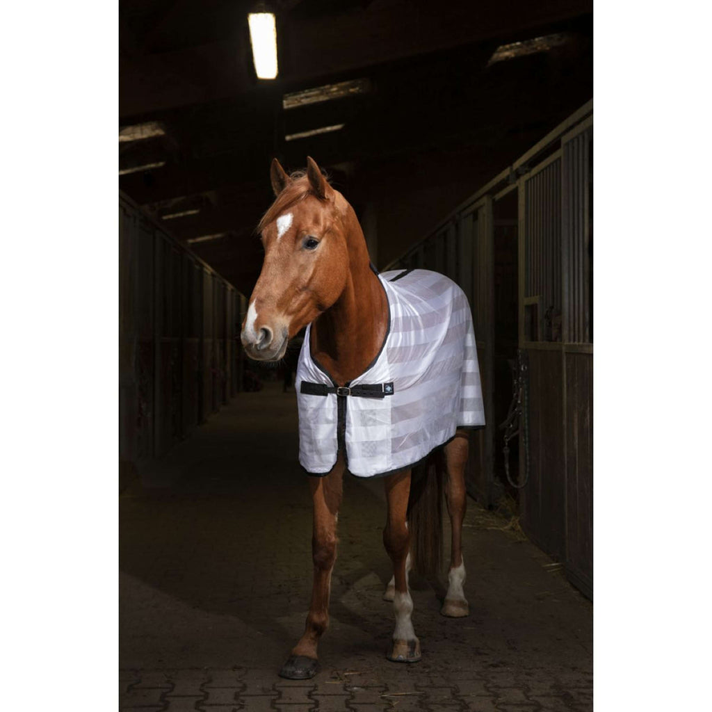 Riding World Coperta Antimosche Mesh Bianco