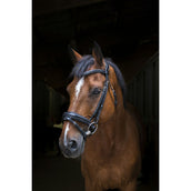 Eric Thomas Briglia Pro Design Nero