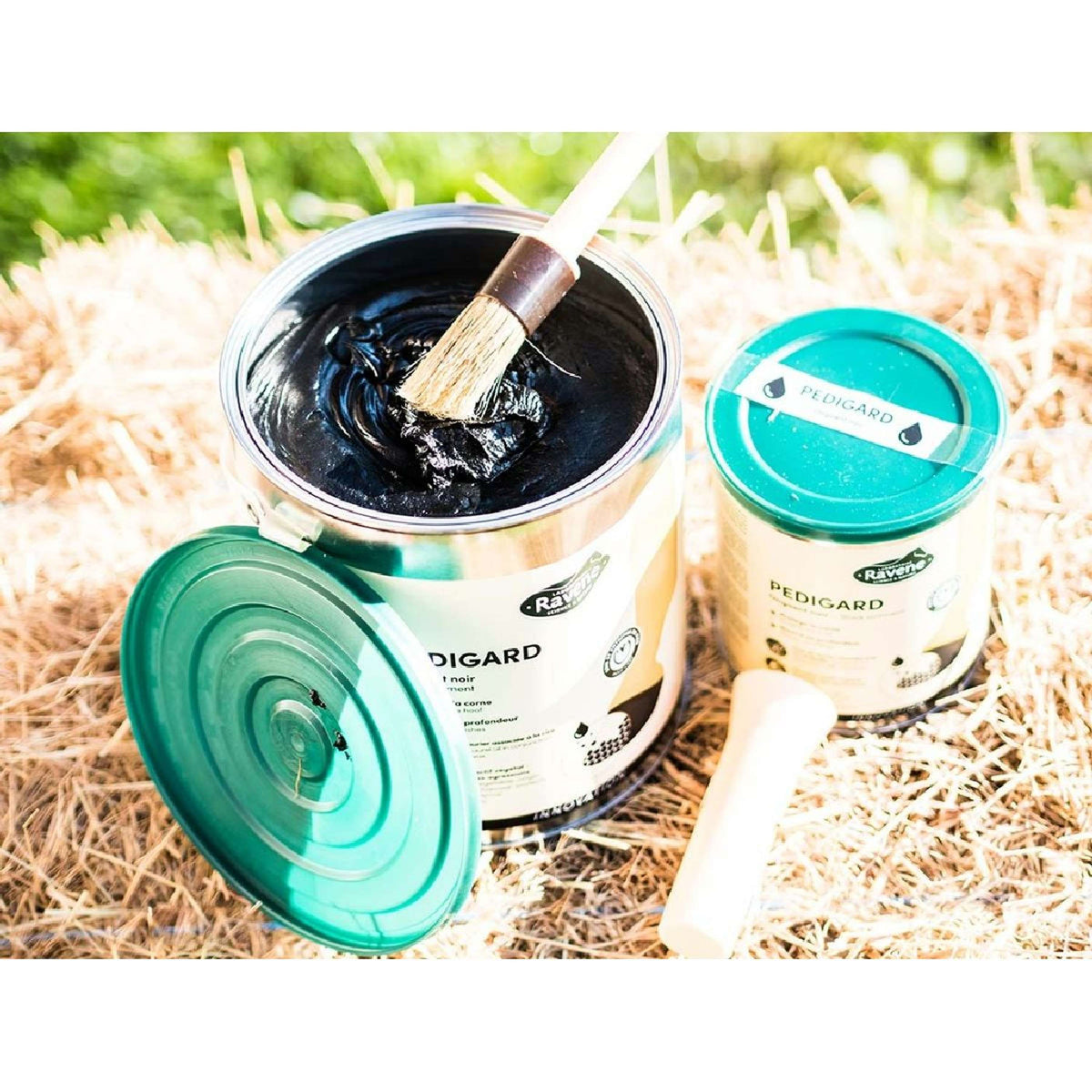 Ravene Pediguardia Blond Nero