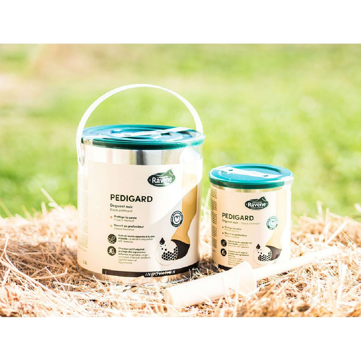 Ravene Pediguardia Blond Nero