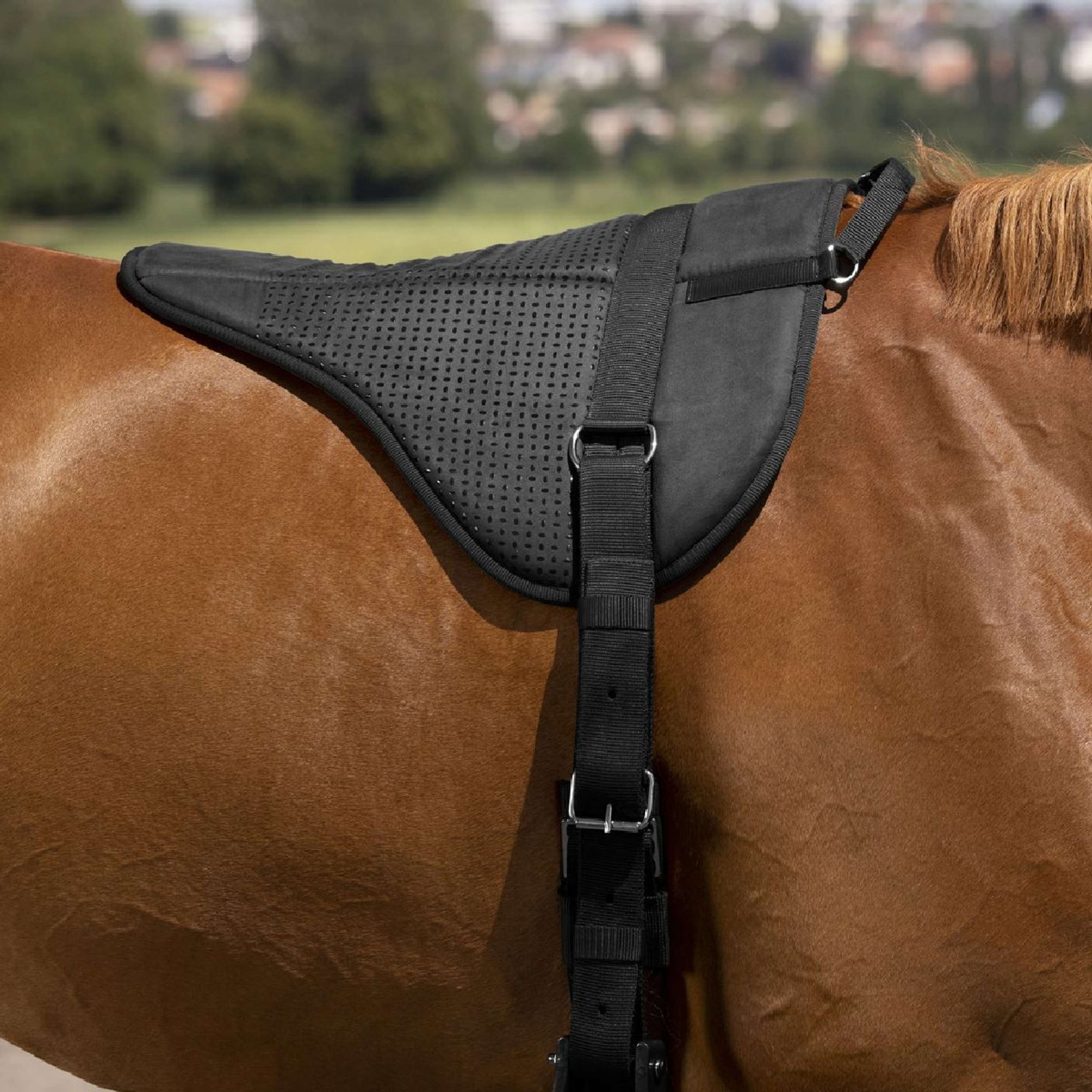 Norton Bareback Pad Silicone Nero Norton Bareback Pad Silicone Nero