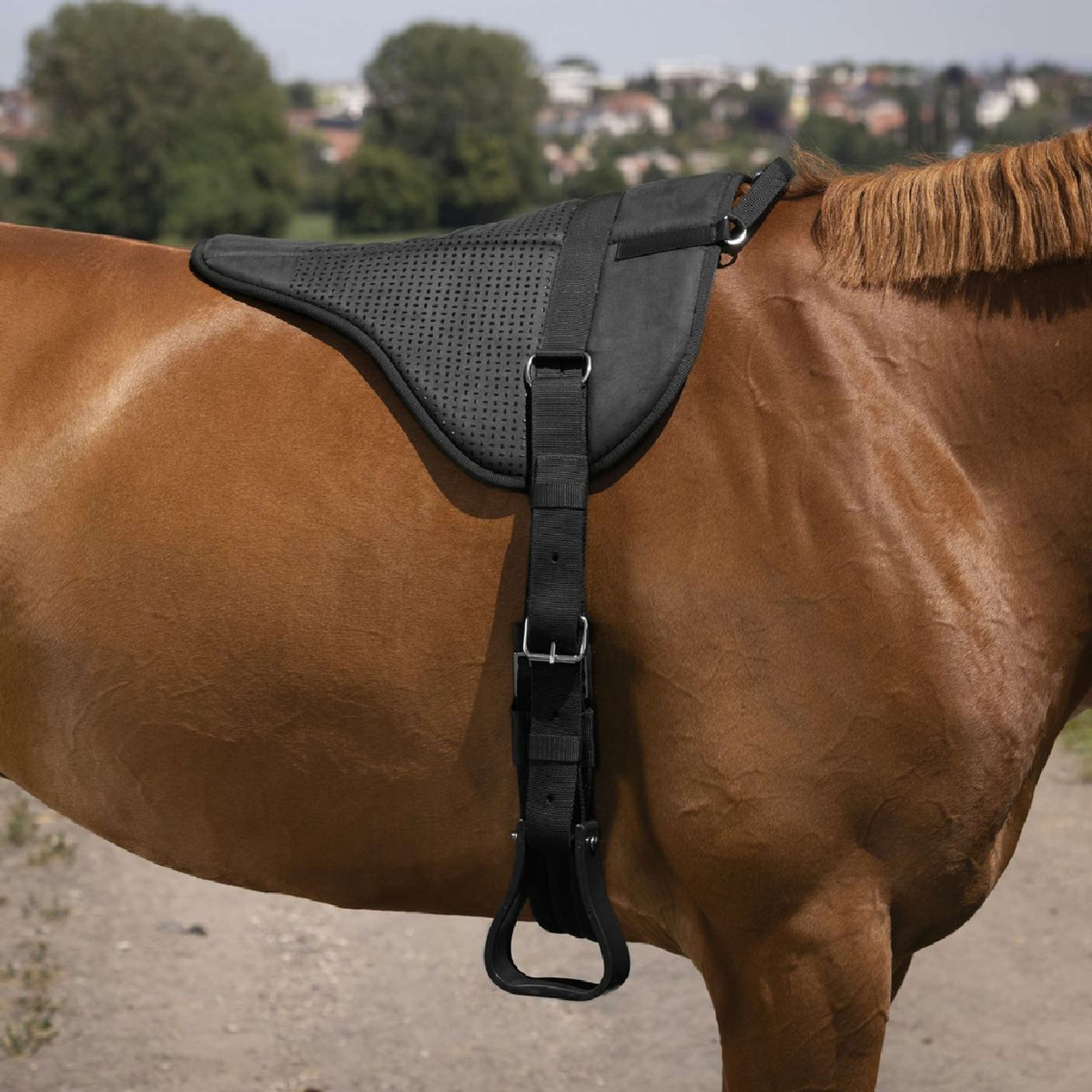 Norton Bareback Pad Silicone Nero