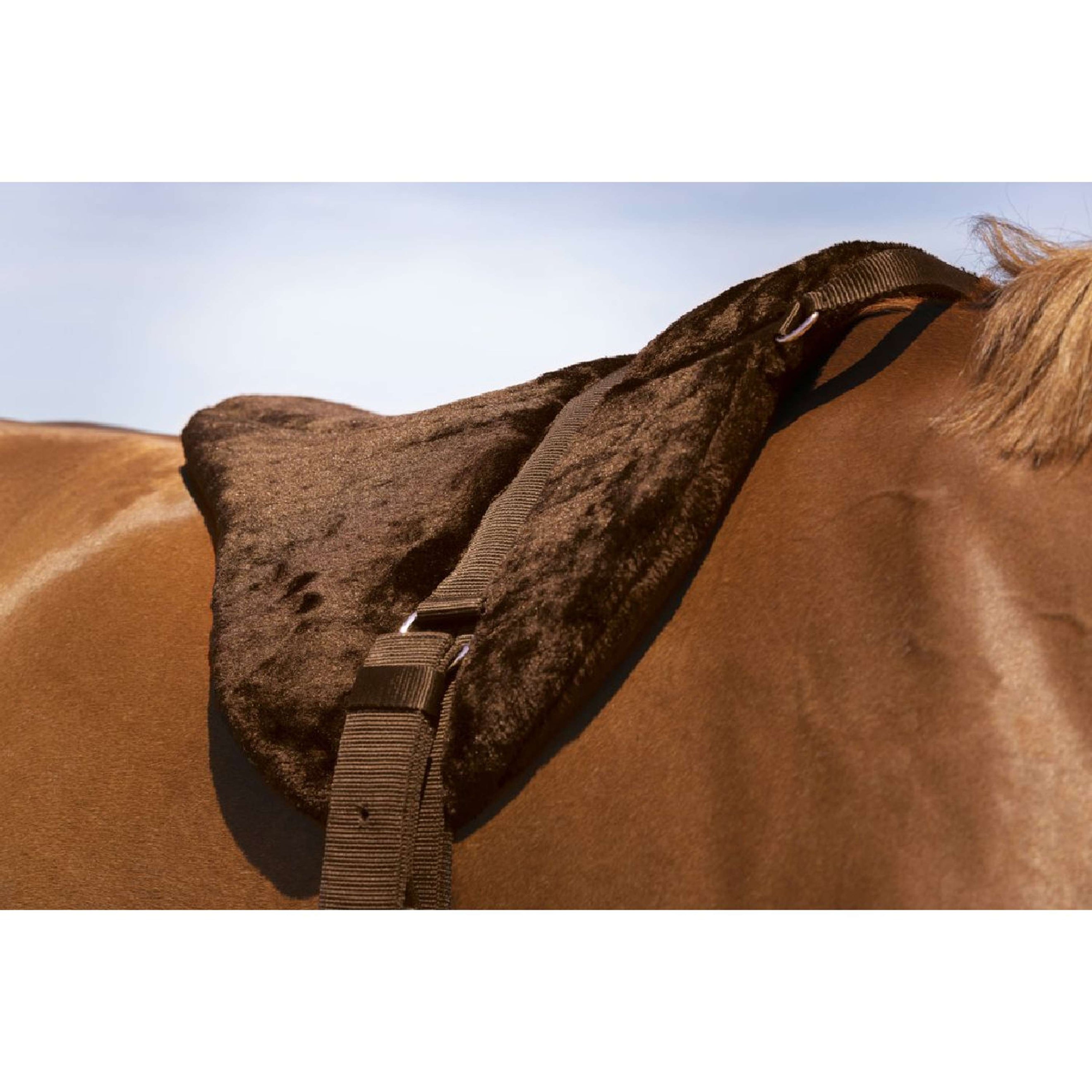 Norton Bareback Pad Confort Marrone