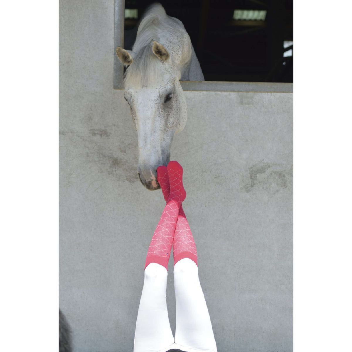 EQUITHÈME Calzini Résille Fuchsia