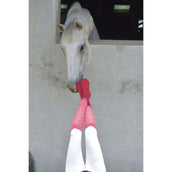 EQUITHÈME Calzini Résille Fuchsia