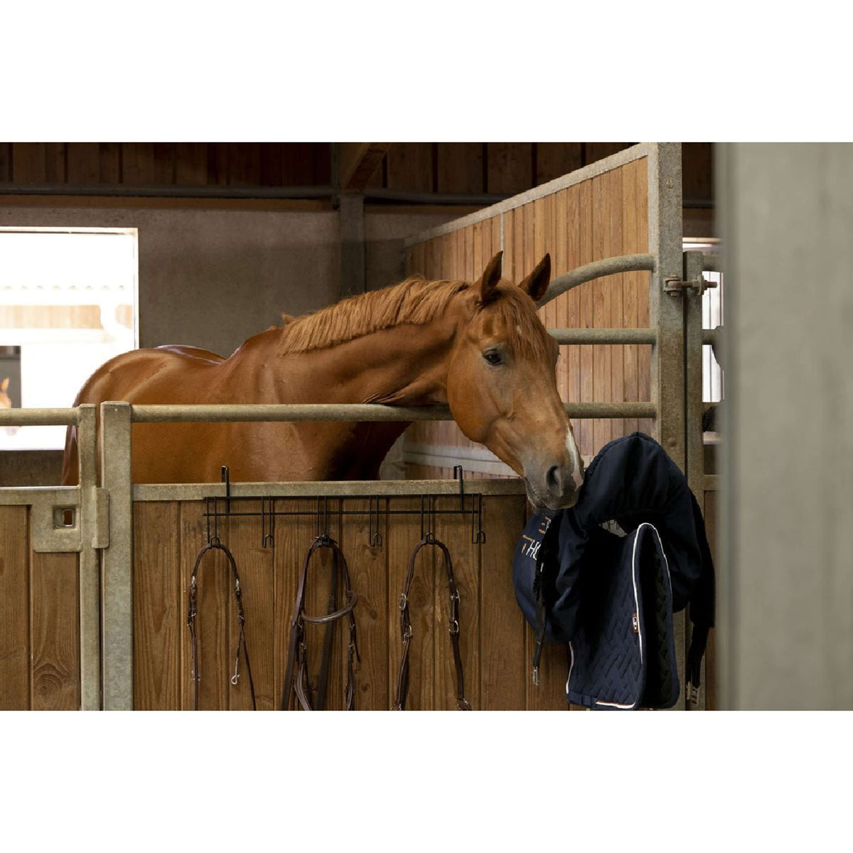 Hippotonic Appendibriglia Nero