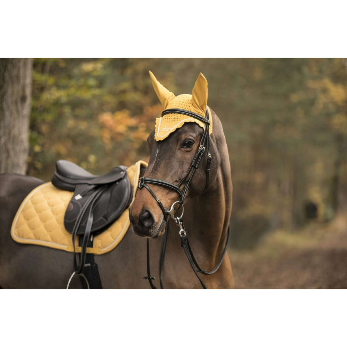 Lami-Cell Cuffietta Honey Gold
