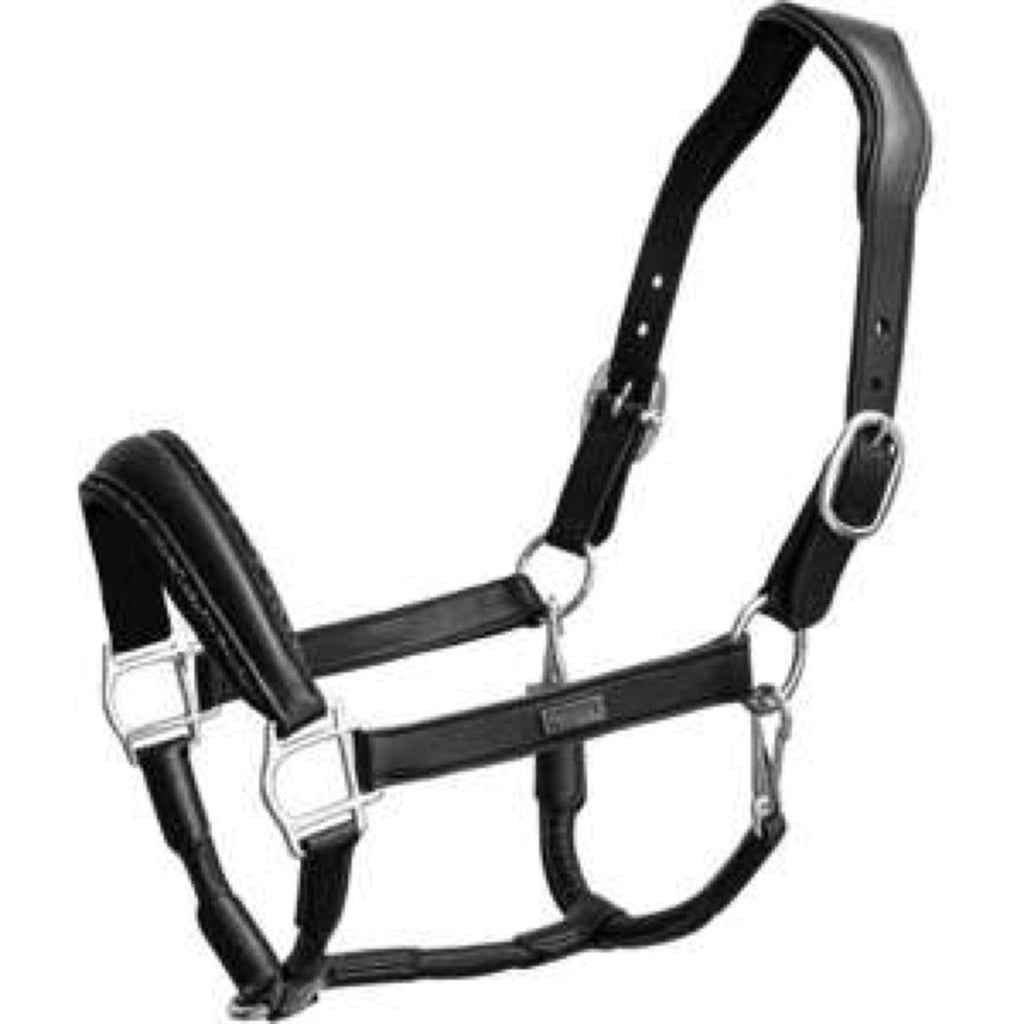 Equestrian Stockholm Cavezza Glimmer Anatomic Leather Nero