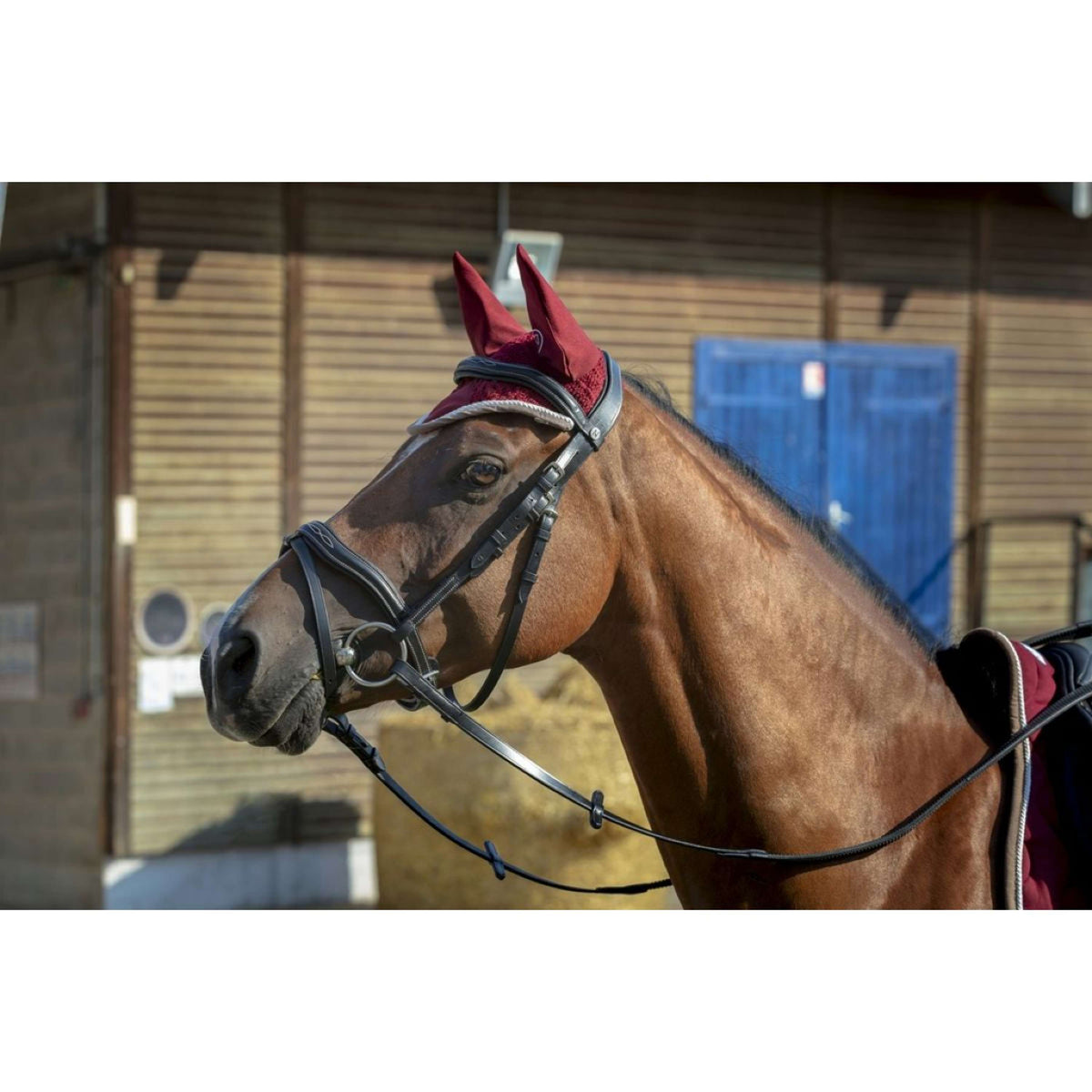 EQUITHÈME Cuffietta Polyfun Bordeaux/Tortora