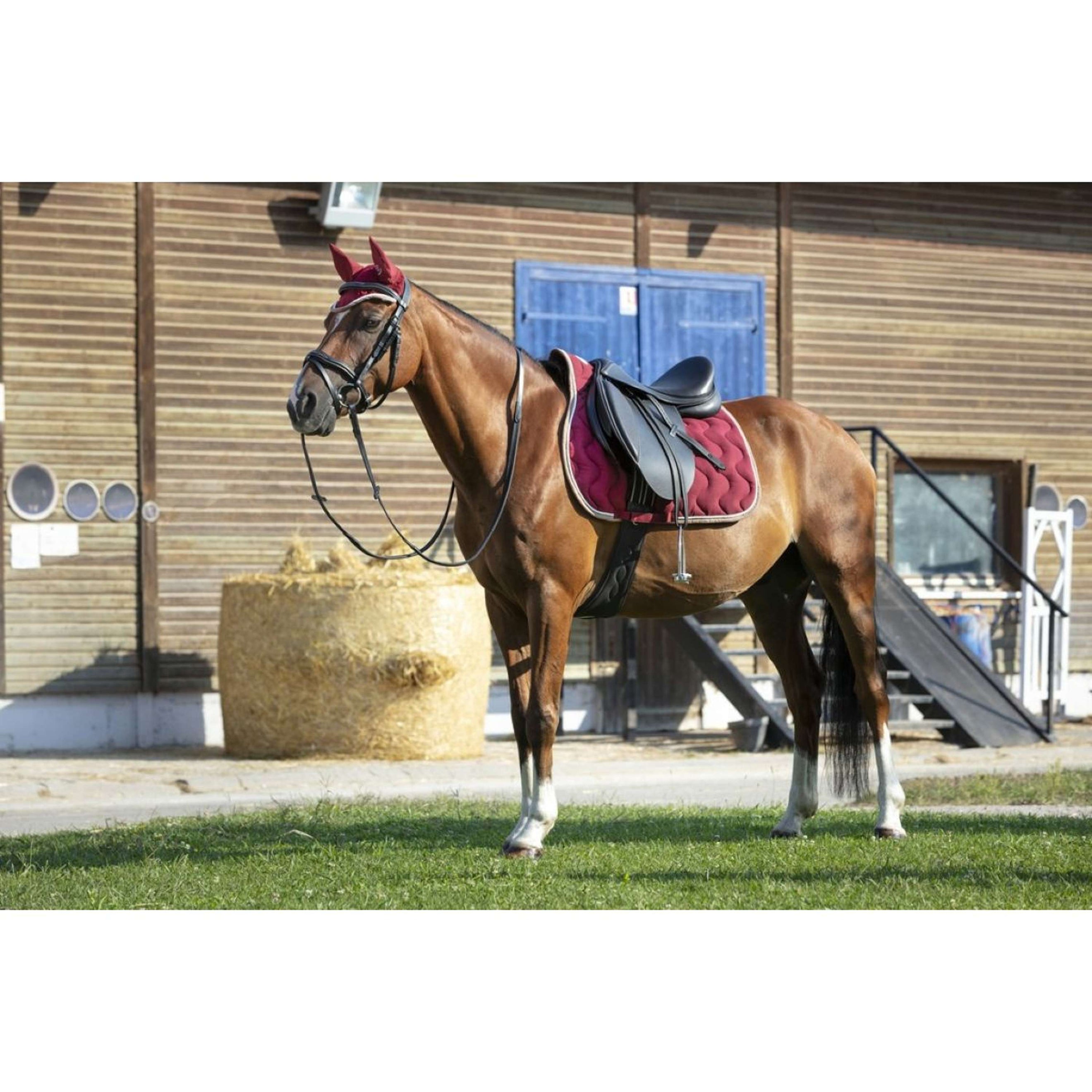 EQUITHÈME Cuffietta Polyfun Bordeaux/Tortora EQUITHÈME Cuffietta Polyfun Bordeaux/Tortora