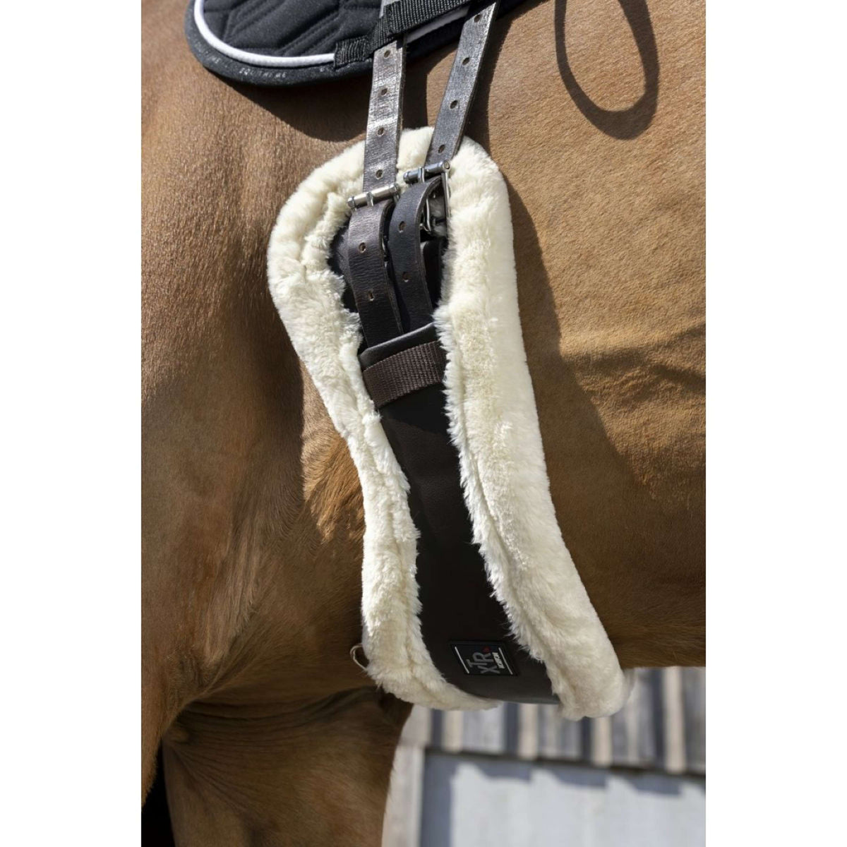 Norton Sottopancia Corto XTR Mouton Synthétique Havana/Crème