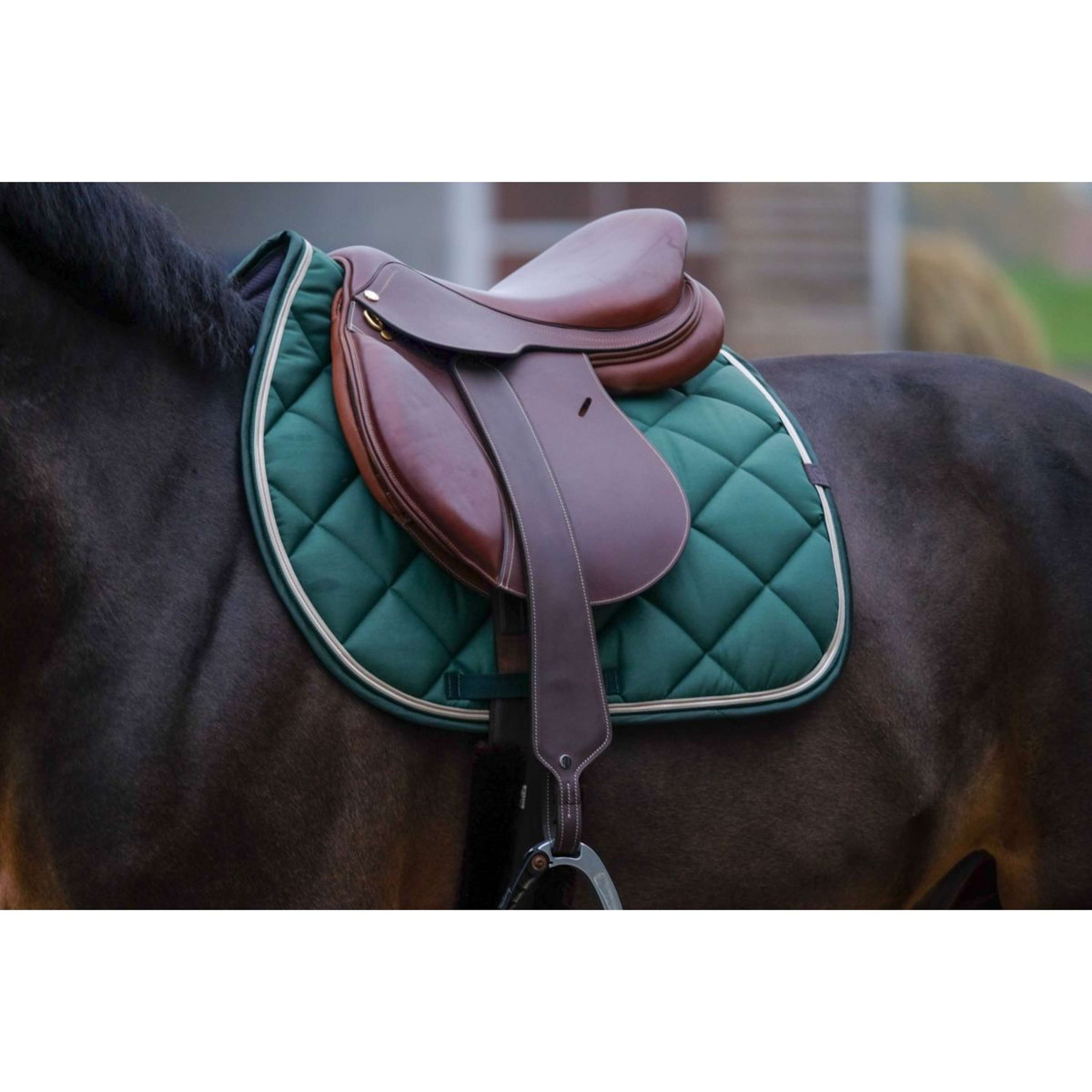 EQUITHÈME Sottosella Classic Saltando Verde scuro