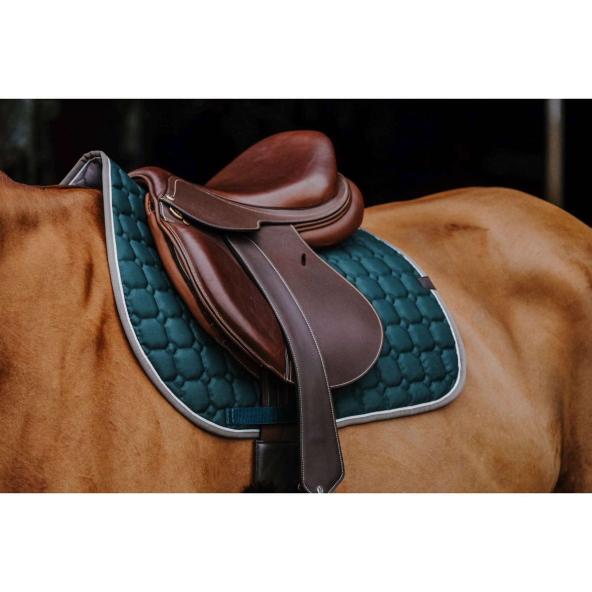 EQUITHÈME Sottosella Orion Verde scuro