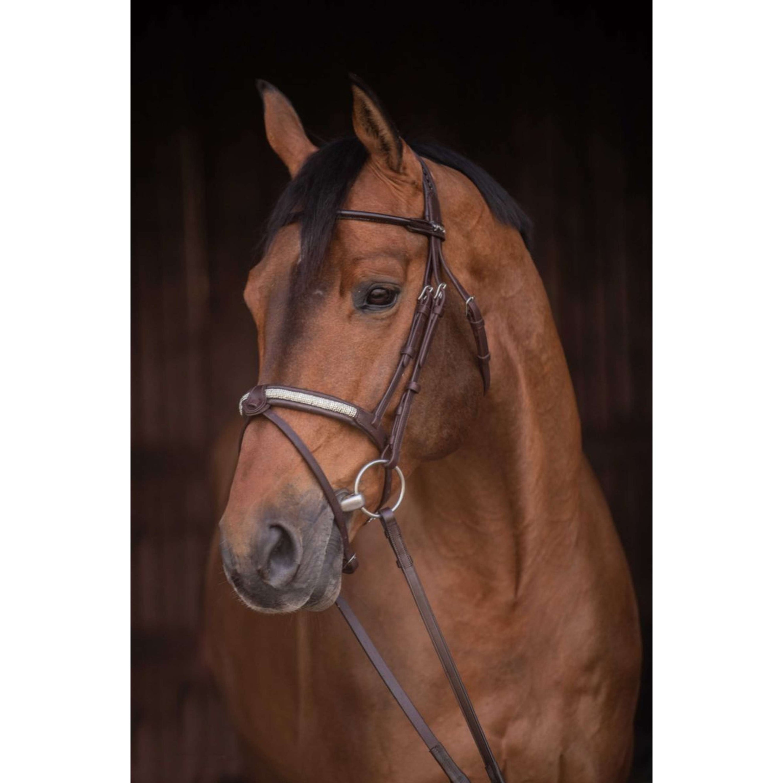 Pénélope Briglia Symphonie Havanna Pénélope Briglia Symphonie Havanna