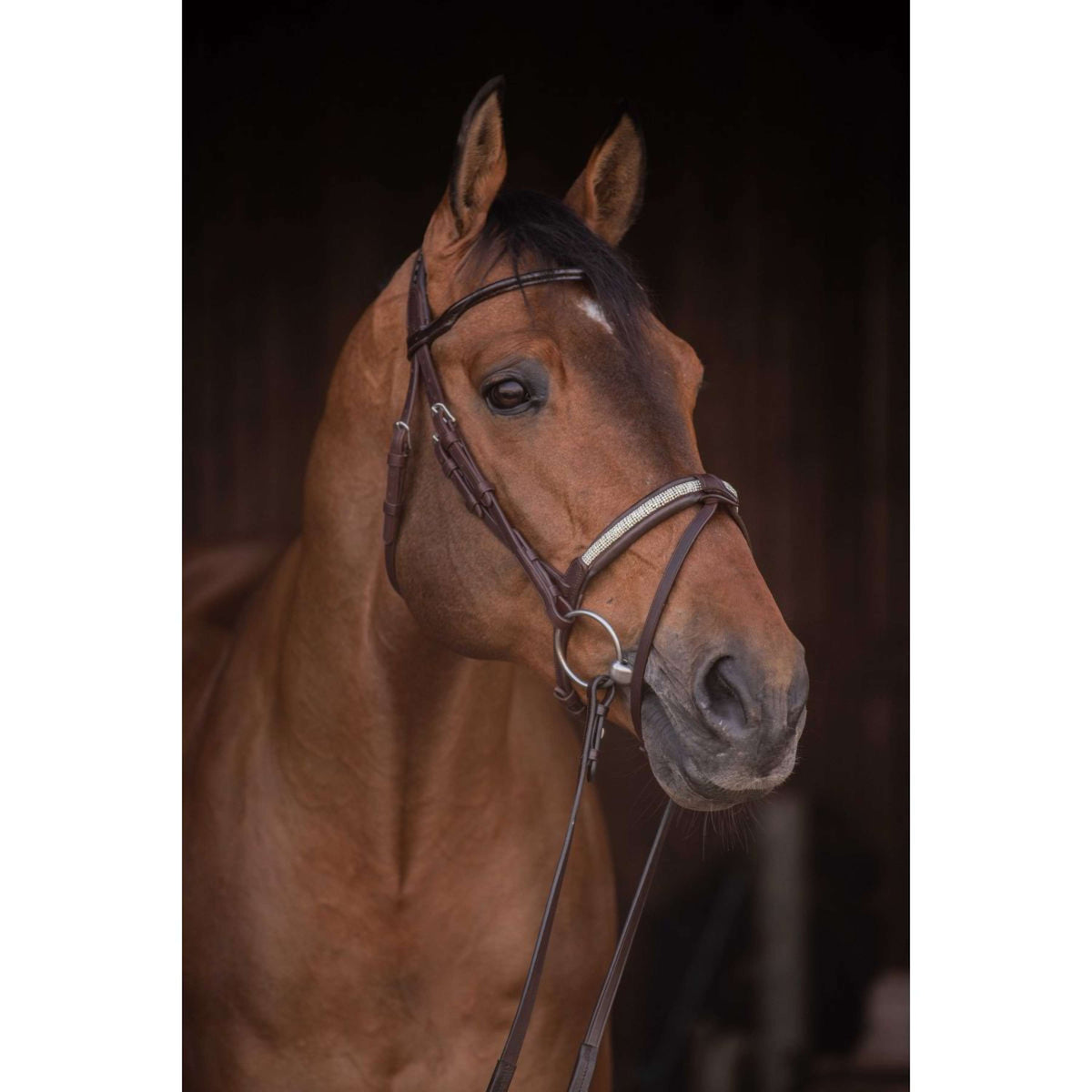 Pénélope Briglia Symphonie Havanna