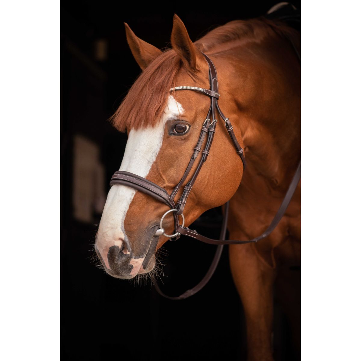 Pénélope Briglia Daily Strass Havanna