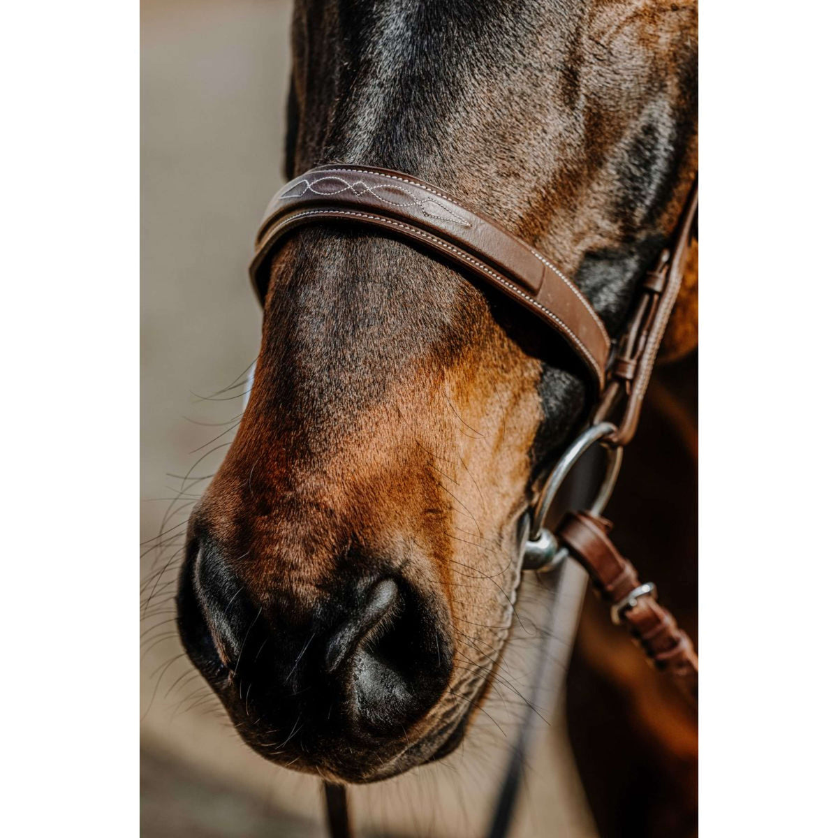 Norton Briglia Hunter Comfy Havanna