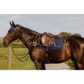 Norton Pettorina 5 Points Havanna