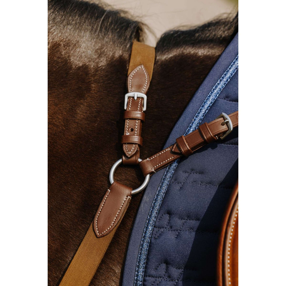 Norton Pettorina 5 Points Havanna