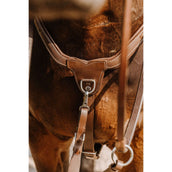 Norton Pettorina 5 Points Havanna