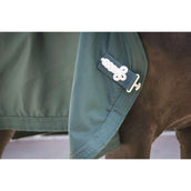 Paddock Tappeto Present Verde