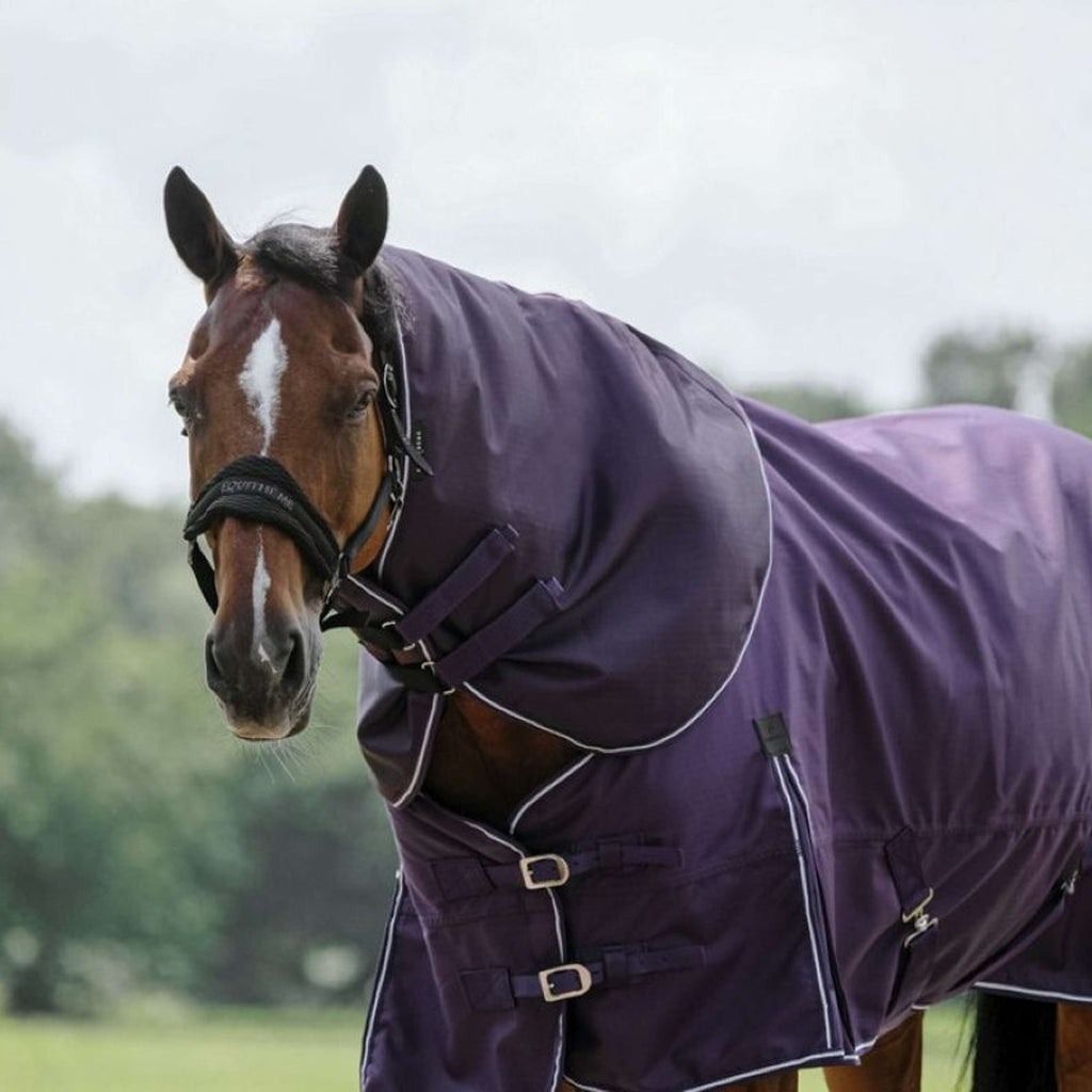EQUITHÈME Copricollo Tyrex 600D 0g Plum