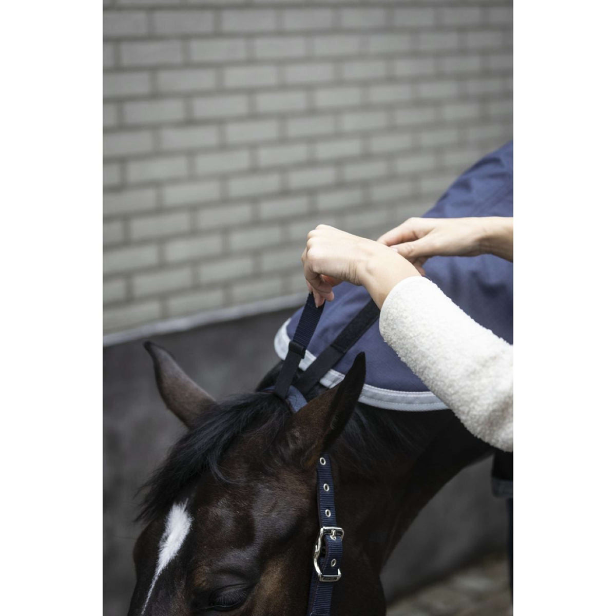 Lami-Cell Copricollo Armadillo Navy