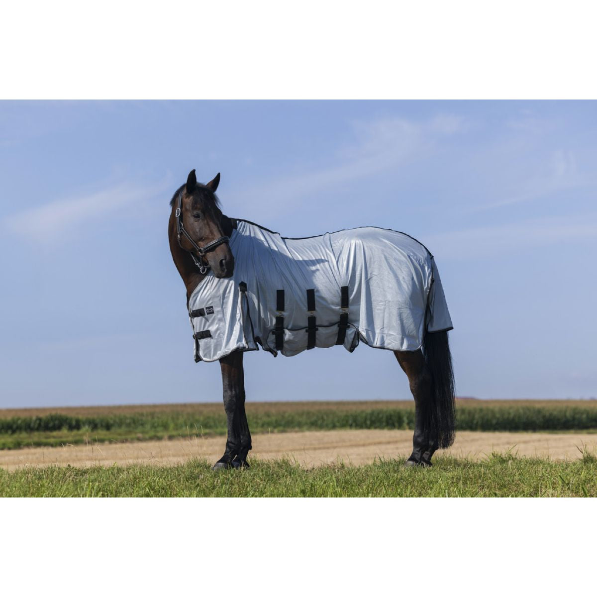 Riding World Coperta Antimosche Belly Mesh Grigio