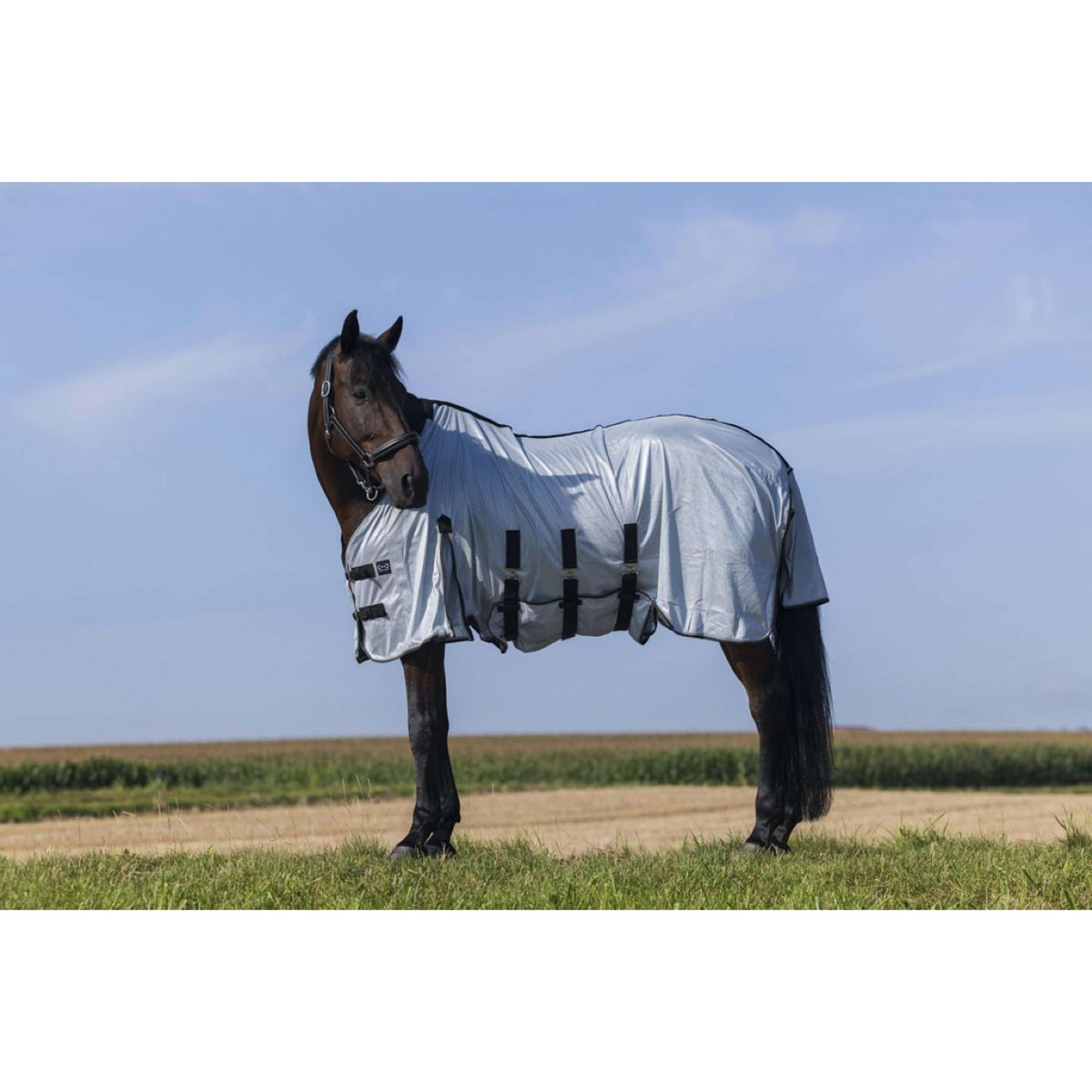 Riding World Coperta Antimosche Belly Mesh Grigio