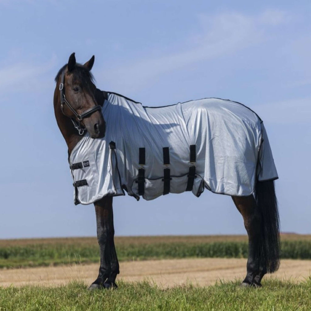 Riding World Coperta Antimosche Belly Mesh Grigio