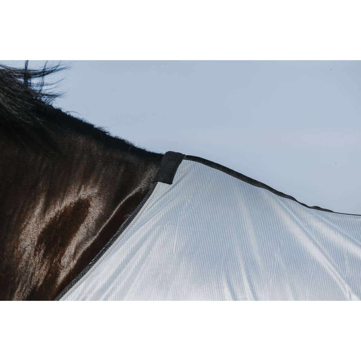 Riding World Coperta Antimosche Belly Mesh Grigio