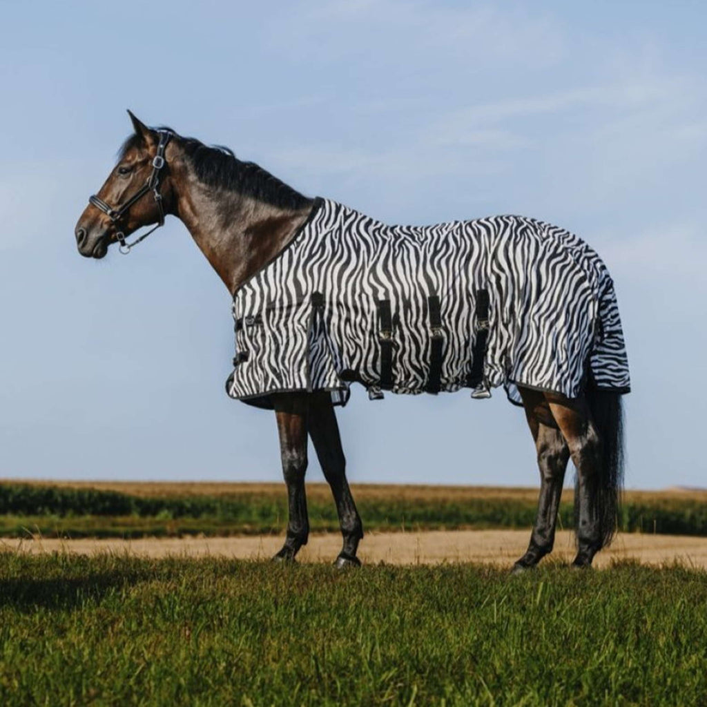 Riding World Coperta Antimosche Belly Mesh Zebra