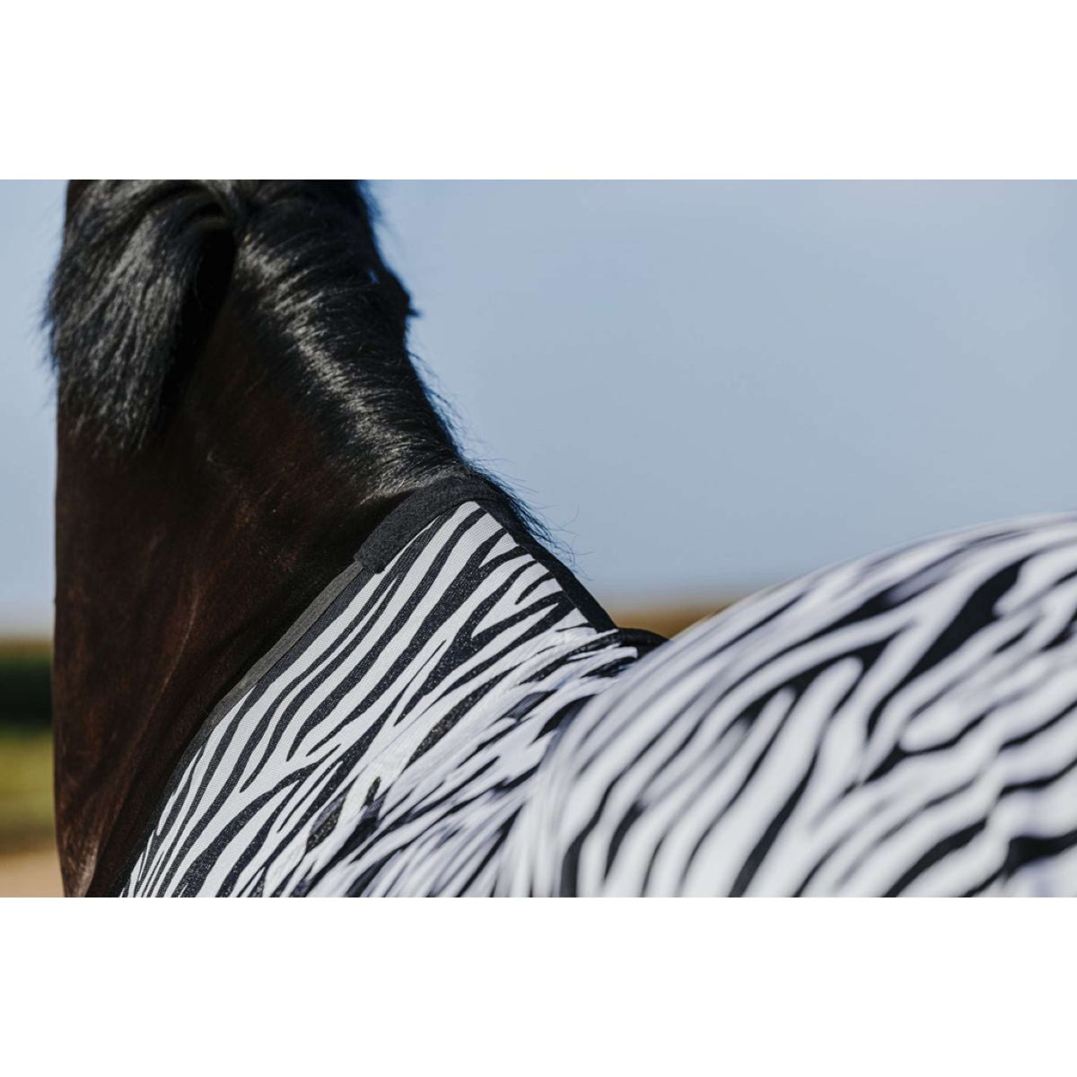 Riding World Coperta Antimosche Belly Mesh Zebra
