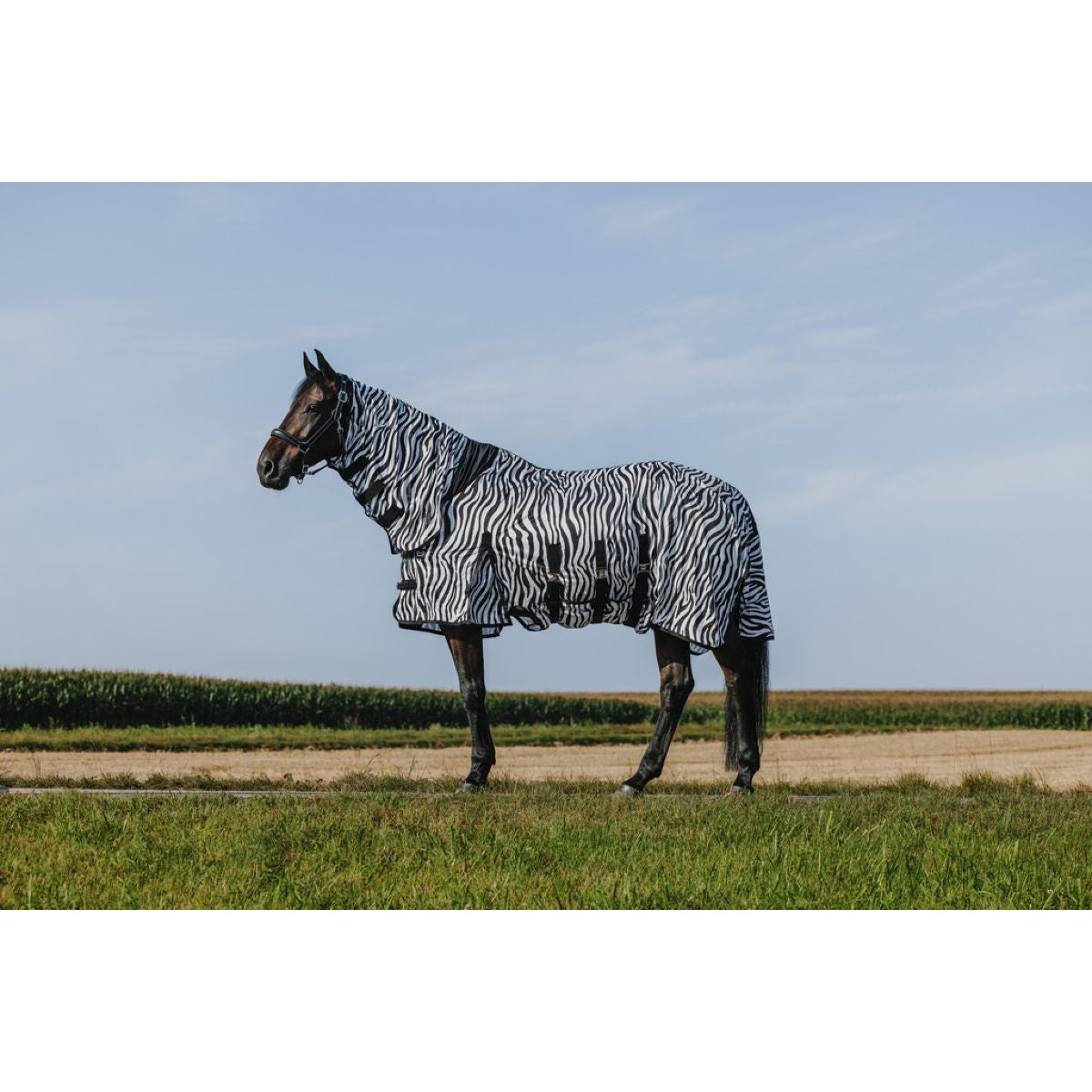 Riding World Coperta Antimosche Belly Mesh Combo Zebra