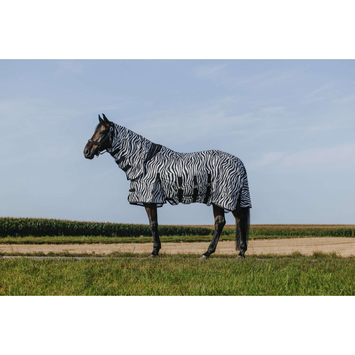Riding World Coperta Antimosche Belly Mesh Combo Zebra
