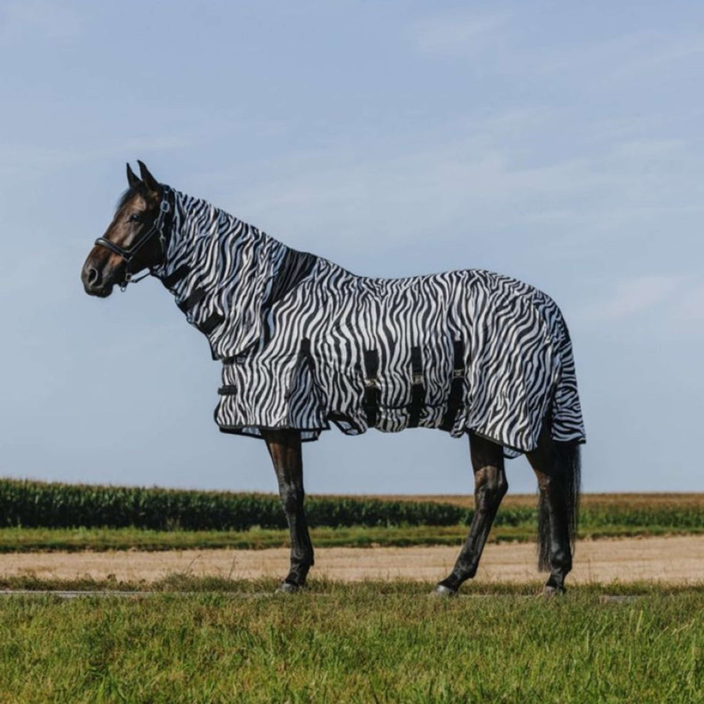 Riding World Coperta Antimosche Belly Mesh Combo Zebra