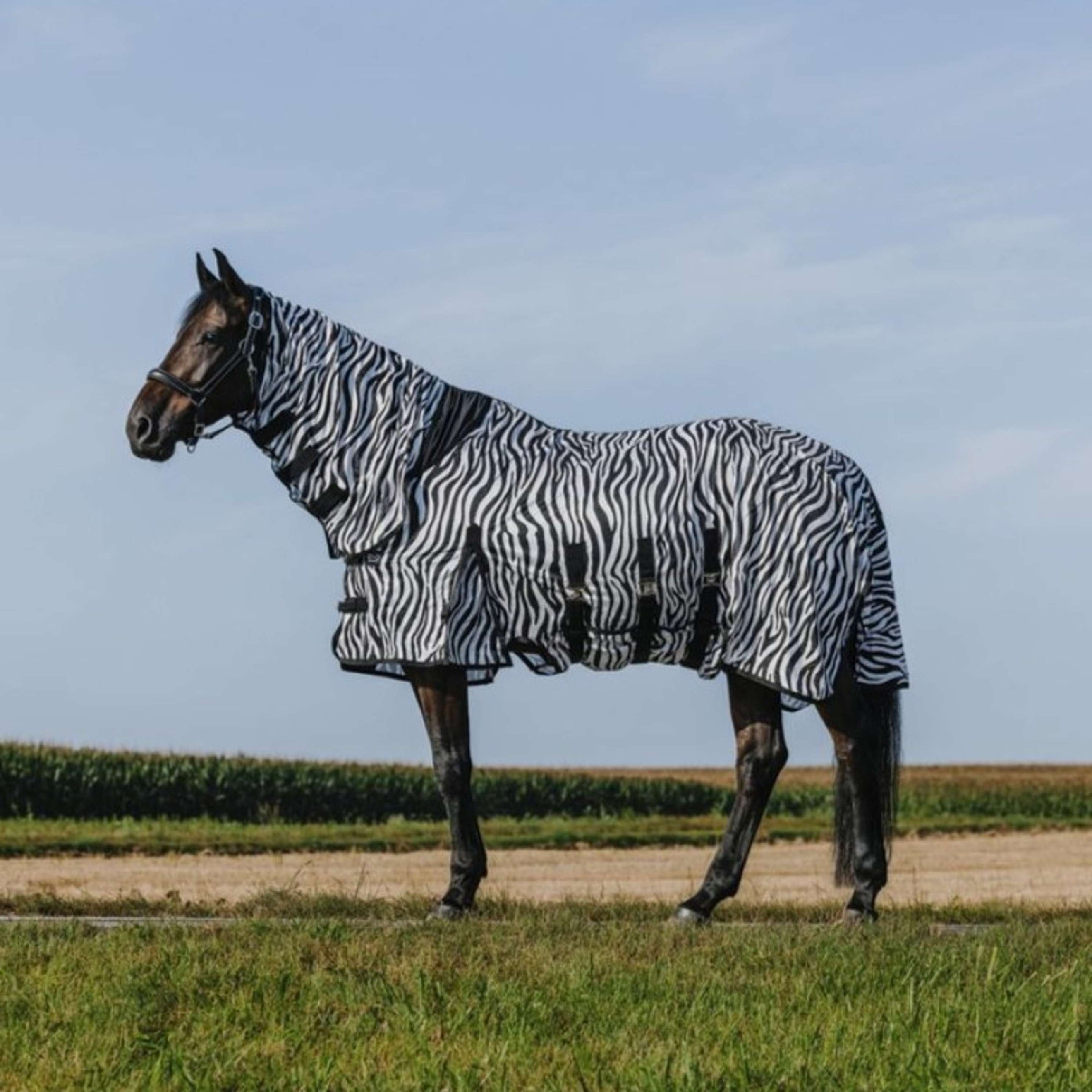 Riding World Coperta Antimosche Belly Mesh Combo Zebra