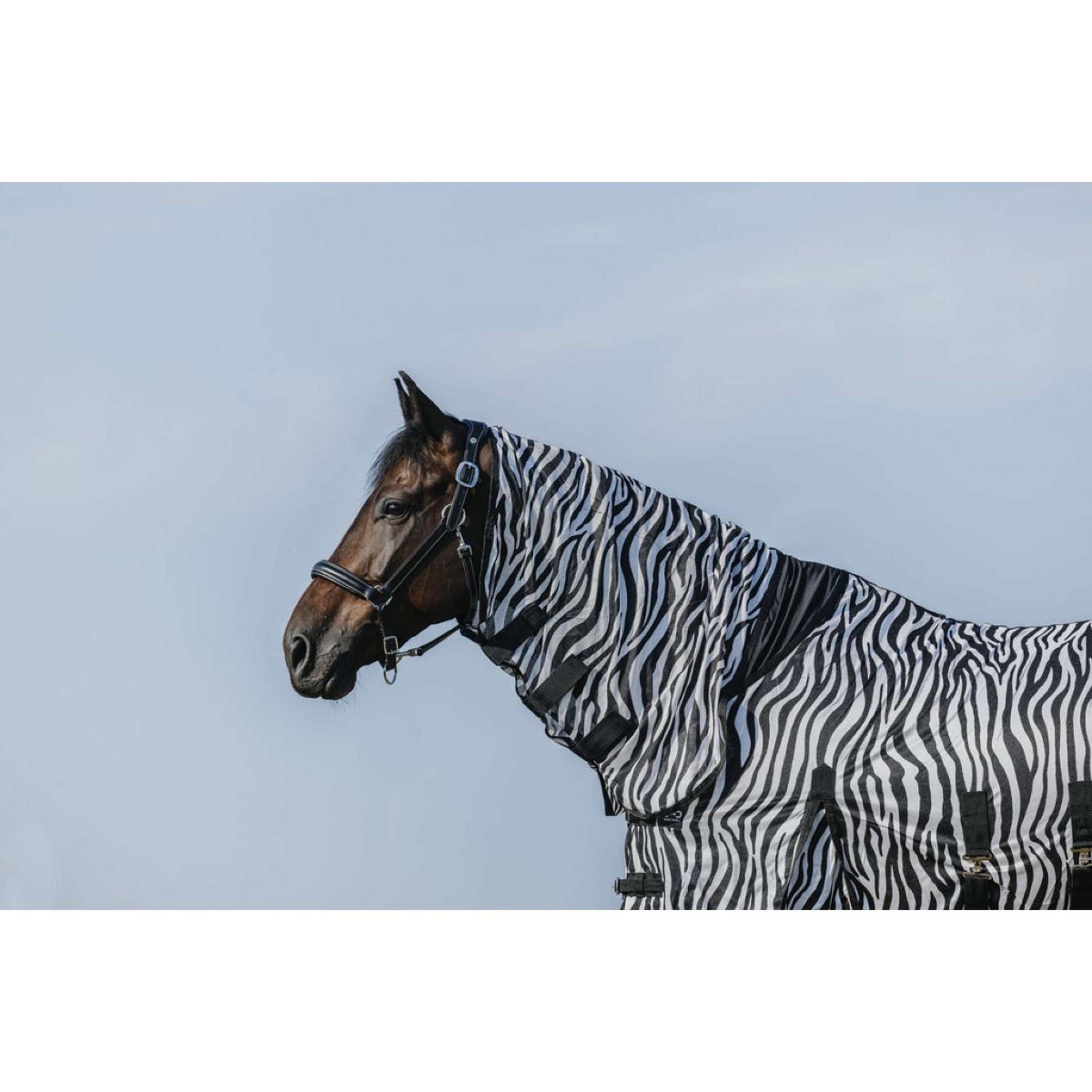 Riding World Coperta Antimosche Belly Mesh Combo Zebra Riding World Coperta Antimosche Belly Mesh Combo Zebra