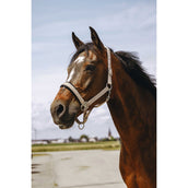 EQUITHÈME Capezzina Jacquard Taupe