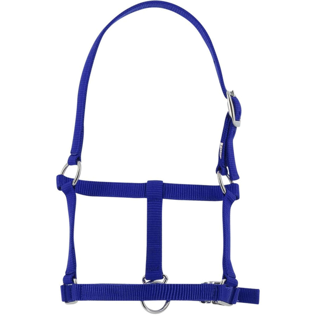 Riding World Cavezza Blu reale