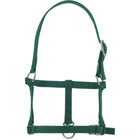 Riding World Cavezza Verde scuro