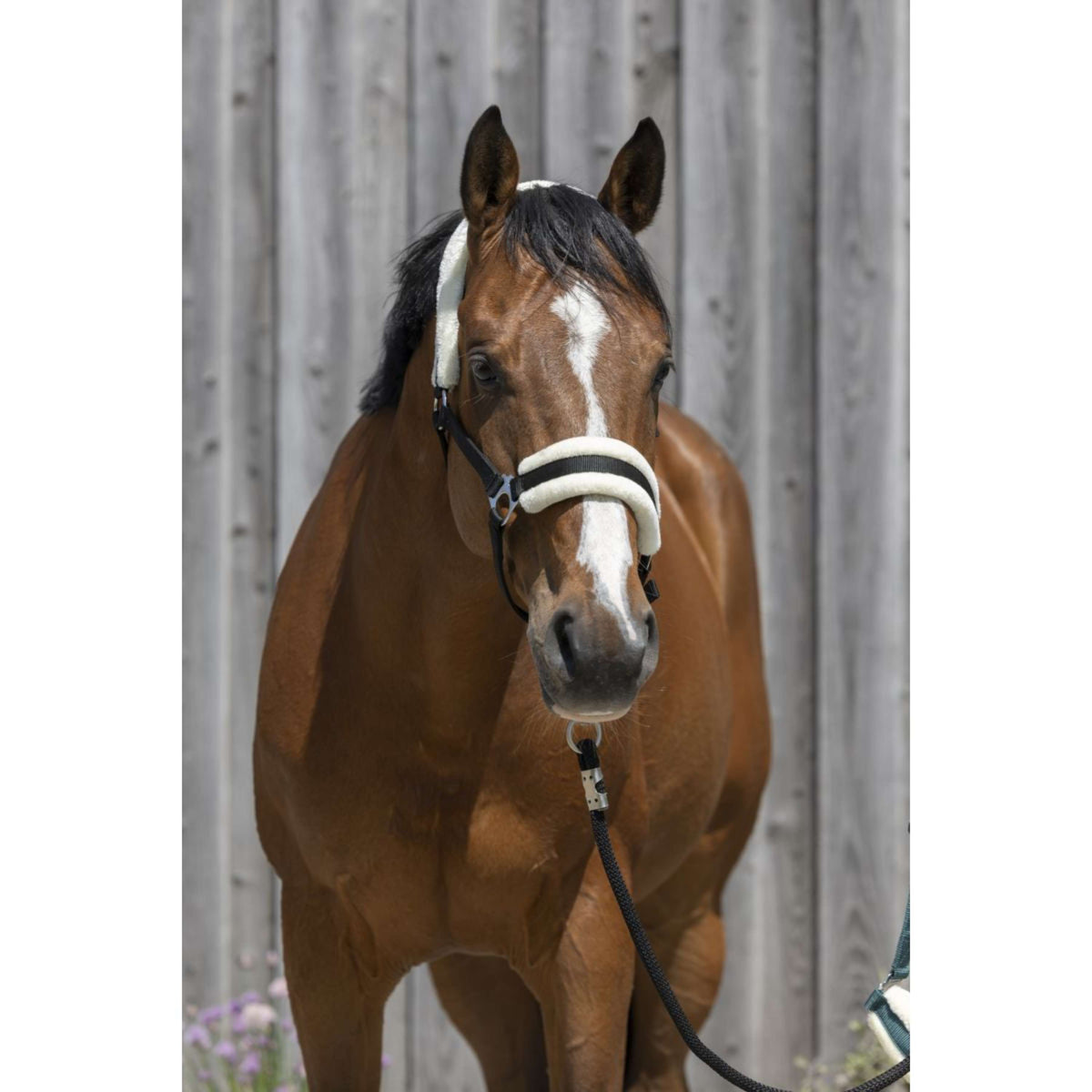 Riding World Capezzina Synthetic Fur Nero