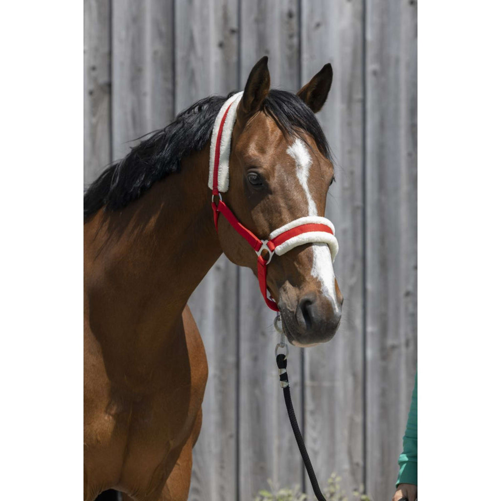 Riding World Cavezza Synthetic Fur Rosso