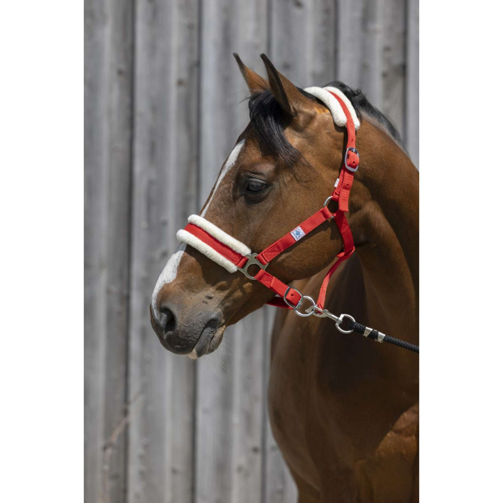 Riding World Cavezza Synthetic Fur Rosso
