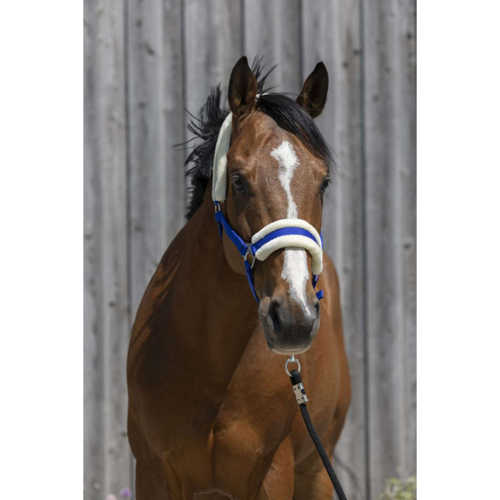 Riding World Cavezza Synthetic Fur Blu reale