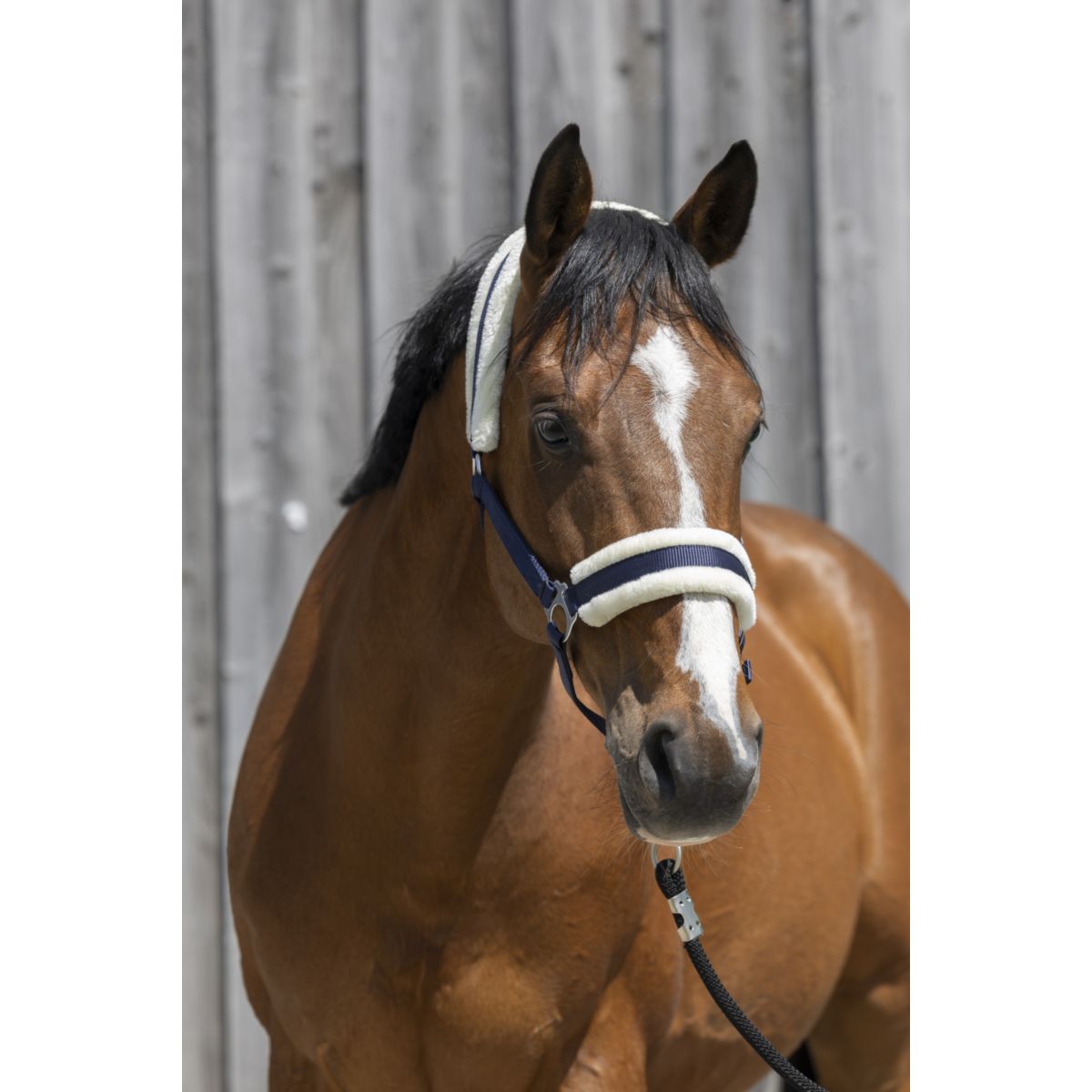Riding World Capezzina Synthetic Fur Navy