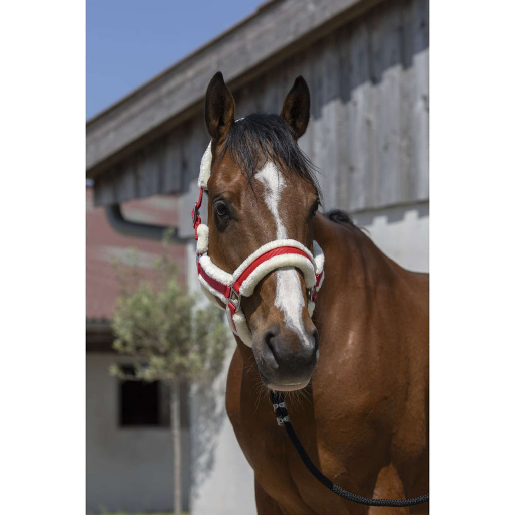 Norton Capezza Cosy Rosso